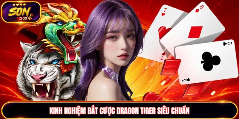 Kinh nghiệm bắt cược Dragon Tiger siêu chuẩn